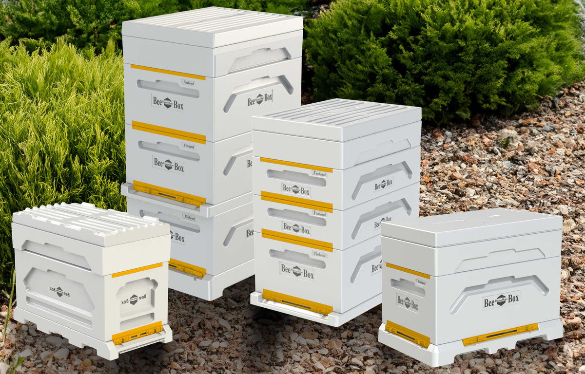 Why Paradise Honey EPS Polystyrene Poly Beehives are Ideal for Australian Beekeepers