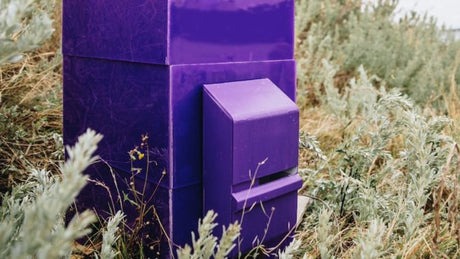 Beehives go smart in Victoria, Australia