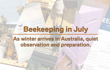 Beekeeping in July: Winter Care for Australian Beekeepers
