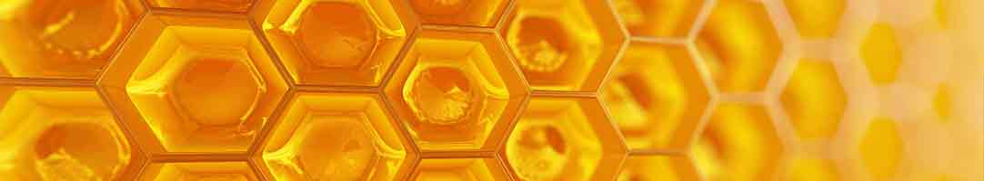 Honey Bee Harvesting for Beekeepers | Buzzbee