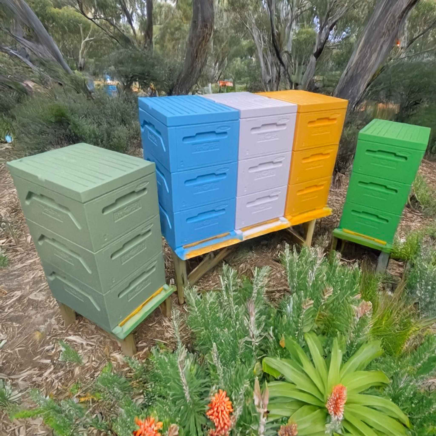Paradise Honey Hives (Ready to Go) Painted and Assembled - 9 Frame Polystyrene Langstroth Hive with 3 Full Deep Bodies/Supers/Boxes