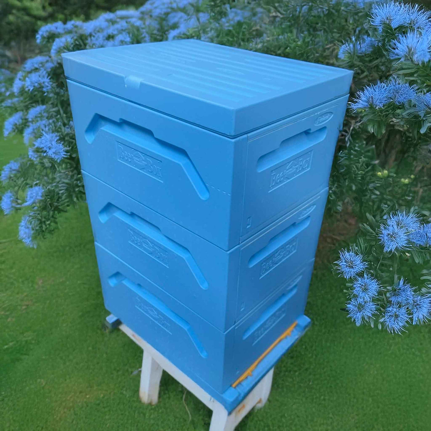 Paradise Honey Hives (Ready to Go) Painted and Assembled - 9 Frame Polystyrene Langstroth Hive with 3 Full Deep Bodies/Supers/Boxes