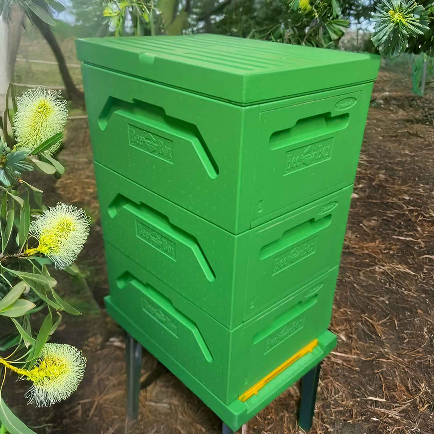 Paradise Honey Hives (Flat Packed Bodies and Painted) - 9 Frame Polystyrene Langstroth Hive with 3 Full Deep Bodies/Supers/Boxes