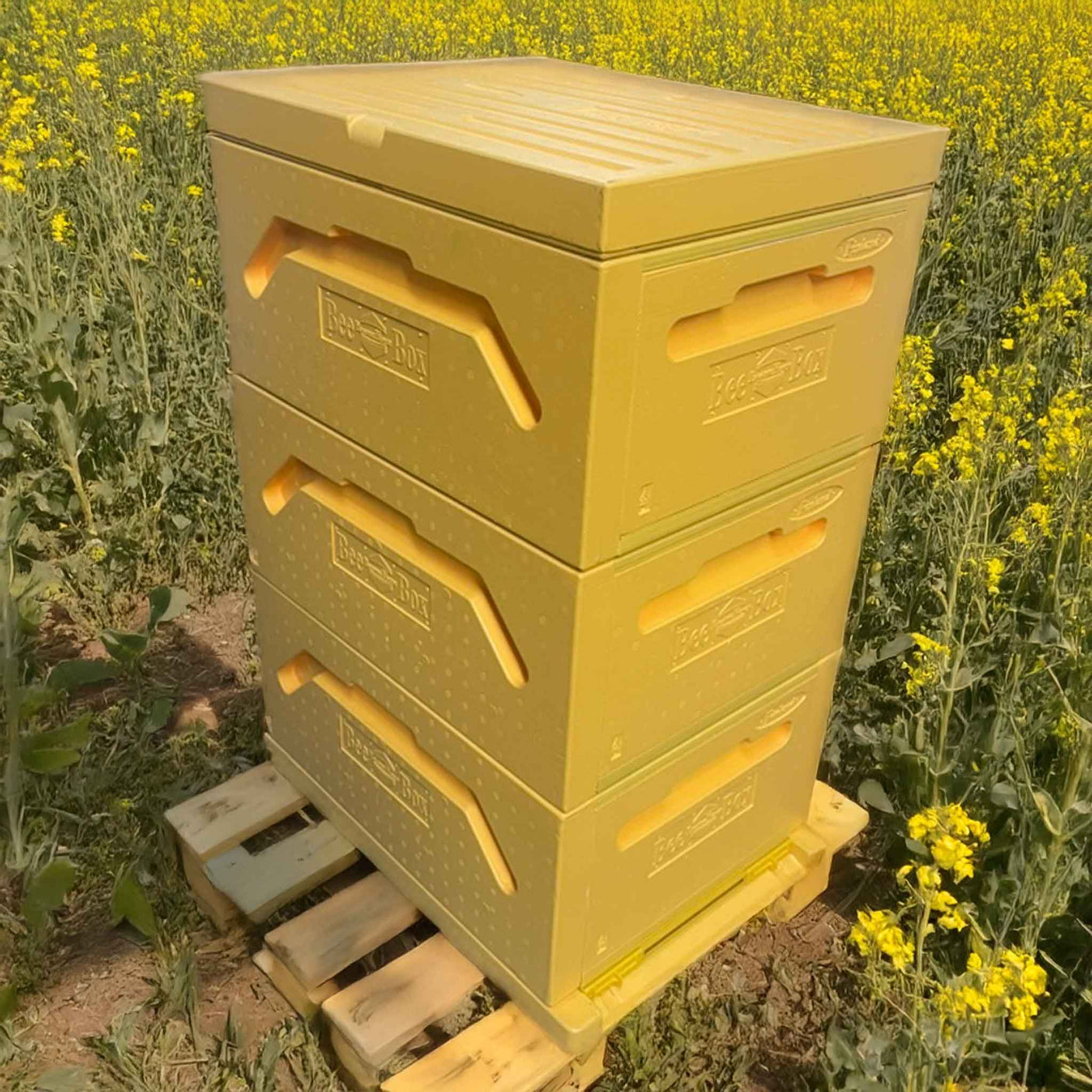 Paradise Honey Hives (Flat Packed Bodies and Painted) - 9 Frame Polystyrene Langstroth Hive with 3 Full Deep Bodies/Supers/Boxes