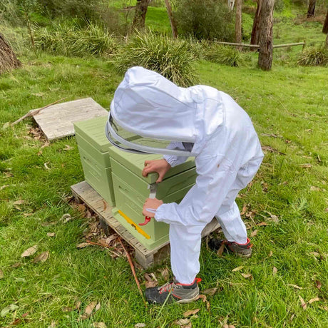Children/Kids Beekeeping Bee Suit - Beekeeping Suits collection by Buzzbee Beekeeping Supplies