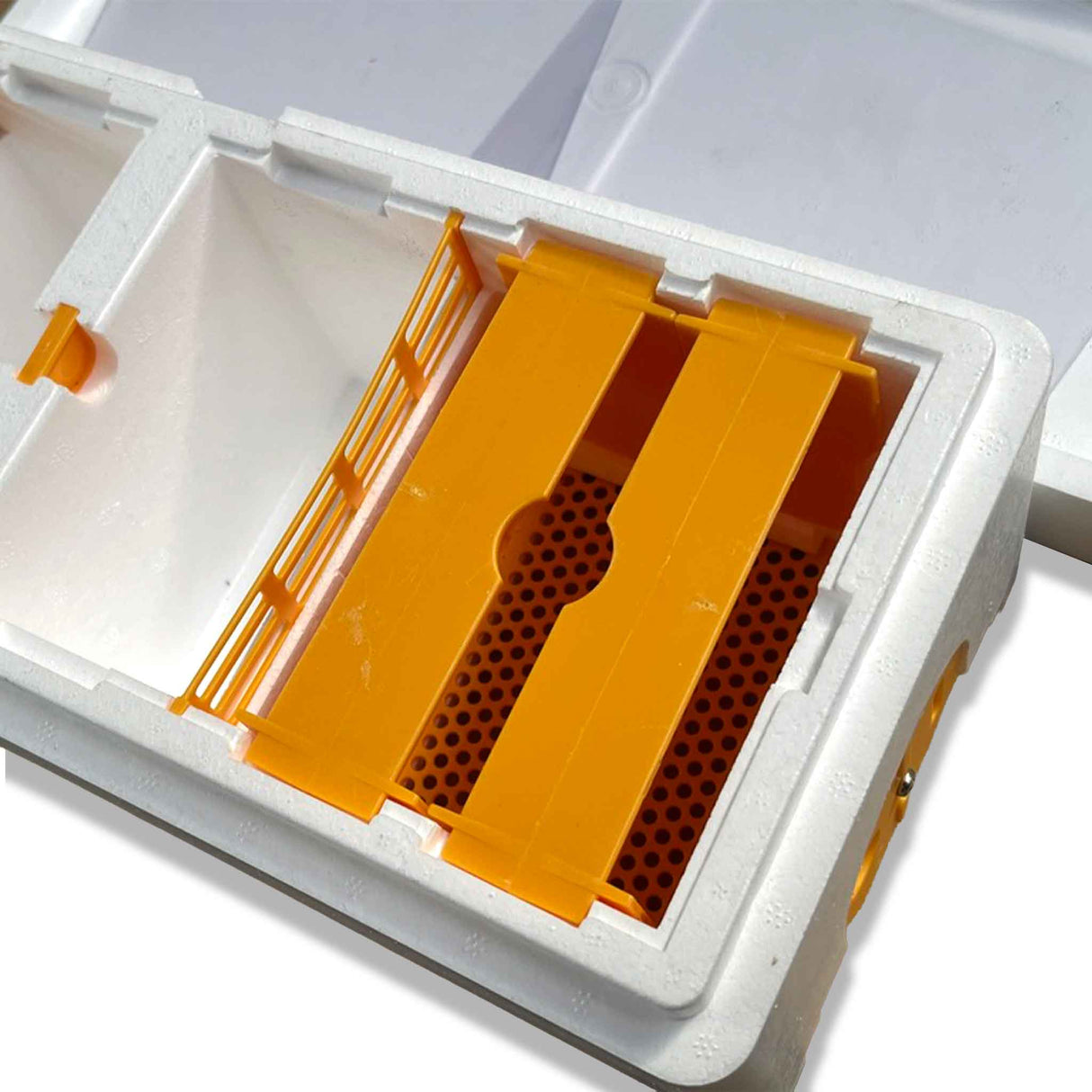 Double Entrance, Twin Zone, Queen Bee Mating NUC with Feeders