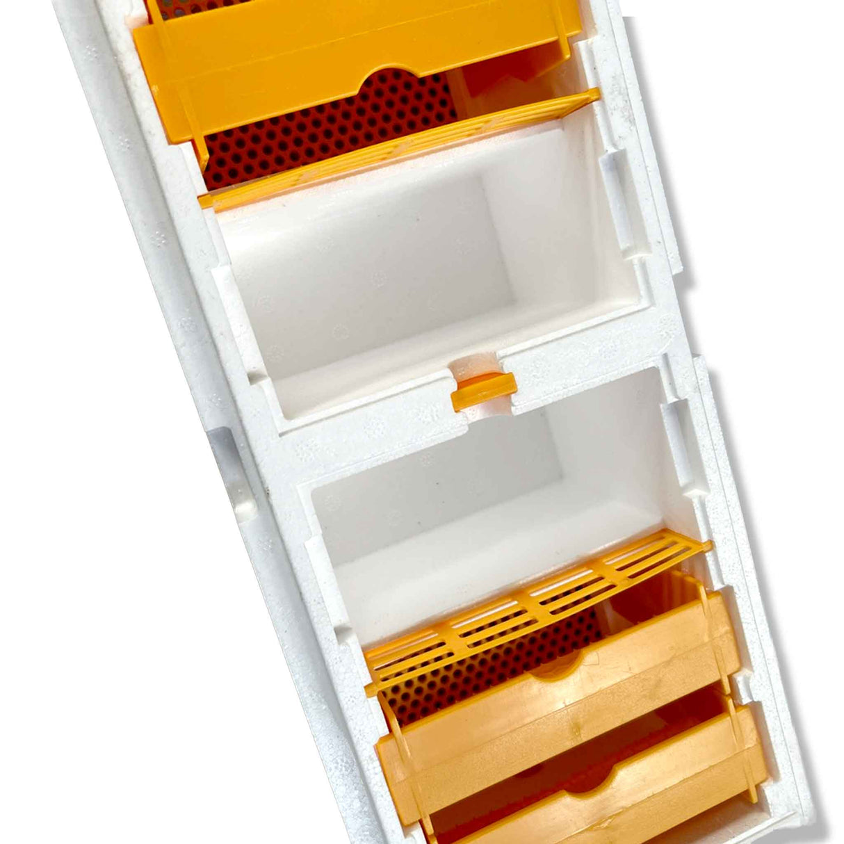 Double Entrance, Twin Zone, Queen Bee Mating NUC with Feeders