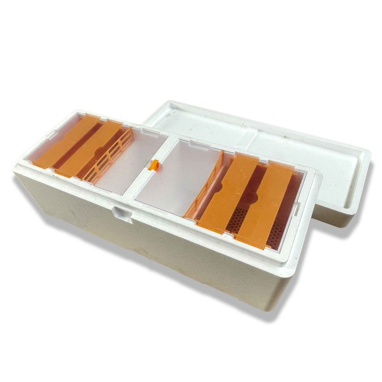 Double Entrance, Twin Zone, Queen Bee Mating NUC with Feeders