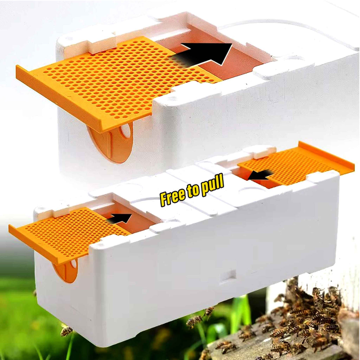 Double Entrance, Twin Zone, Queen Bee Mating NUC with Feeders