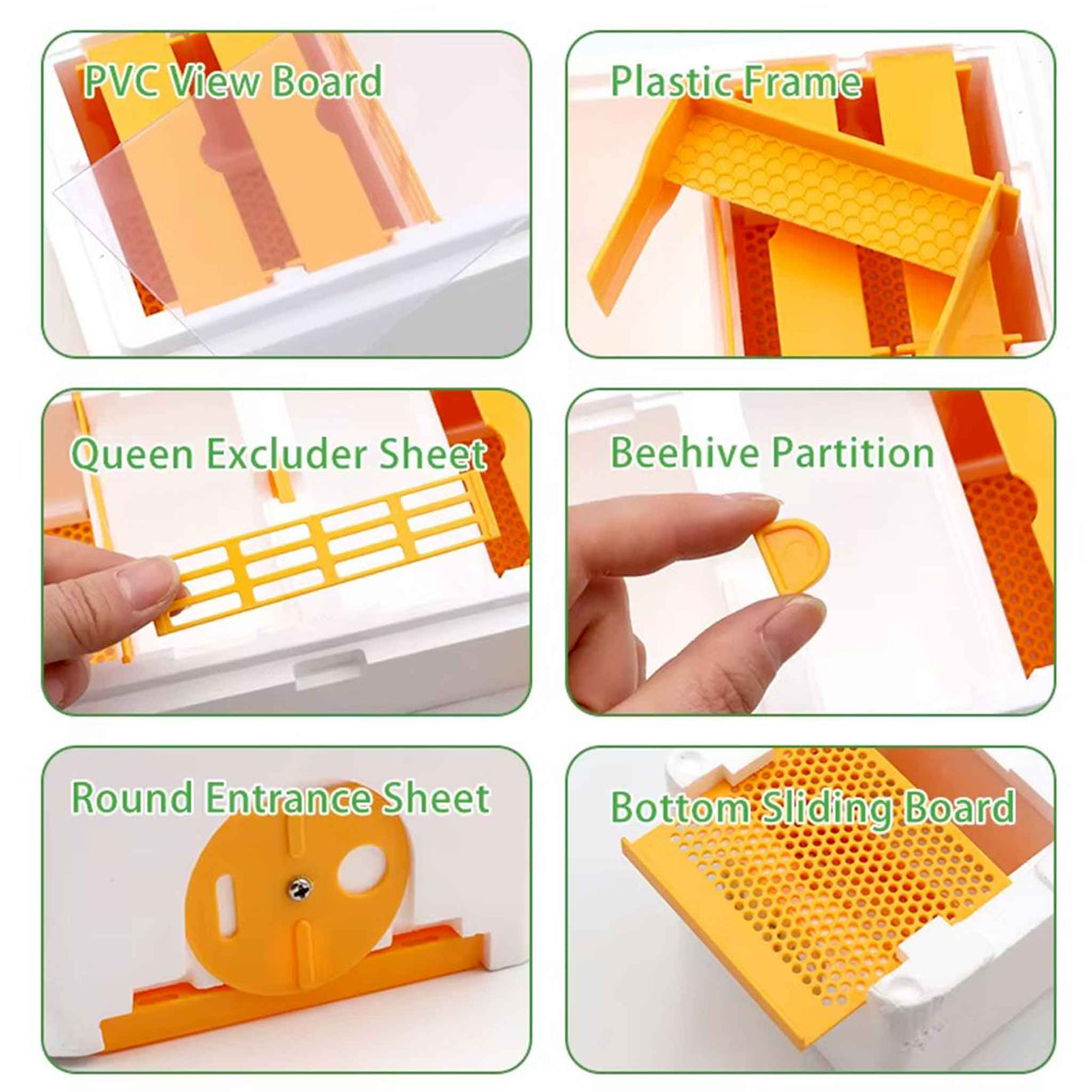 Double Entrance, Twin Zone, Queen Bee Mating NUC with Feeders
