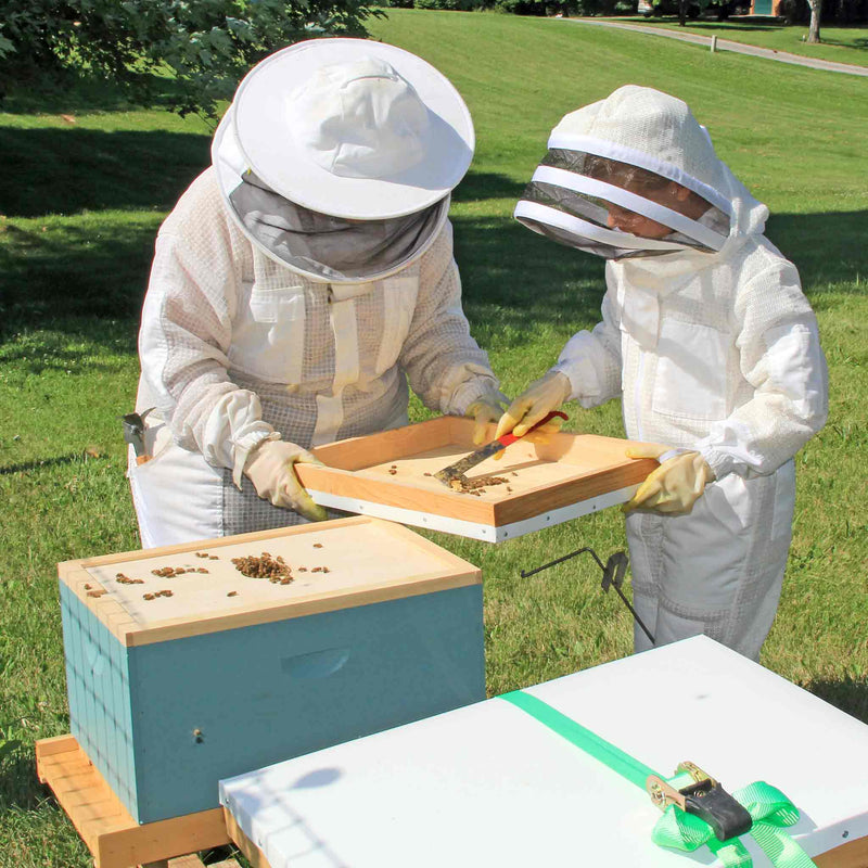Beginner Beekeeper at Buzzbee Beekeeping