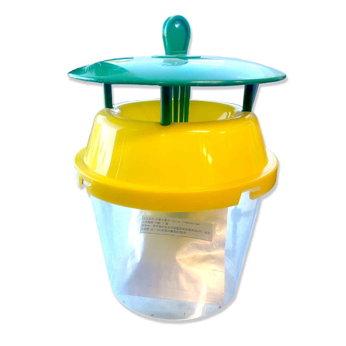Large Wasp Trap for European and Paper Wasps