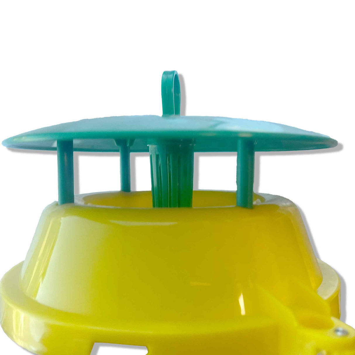 Large Wasp Trap for European and Paper Wasps