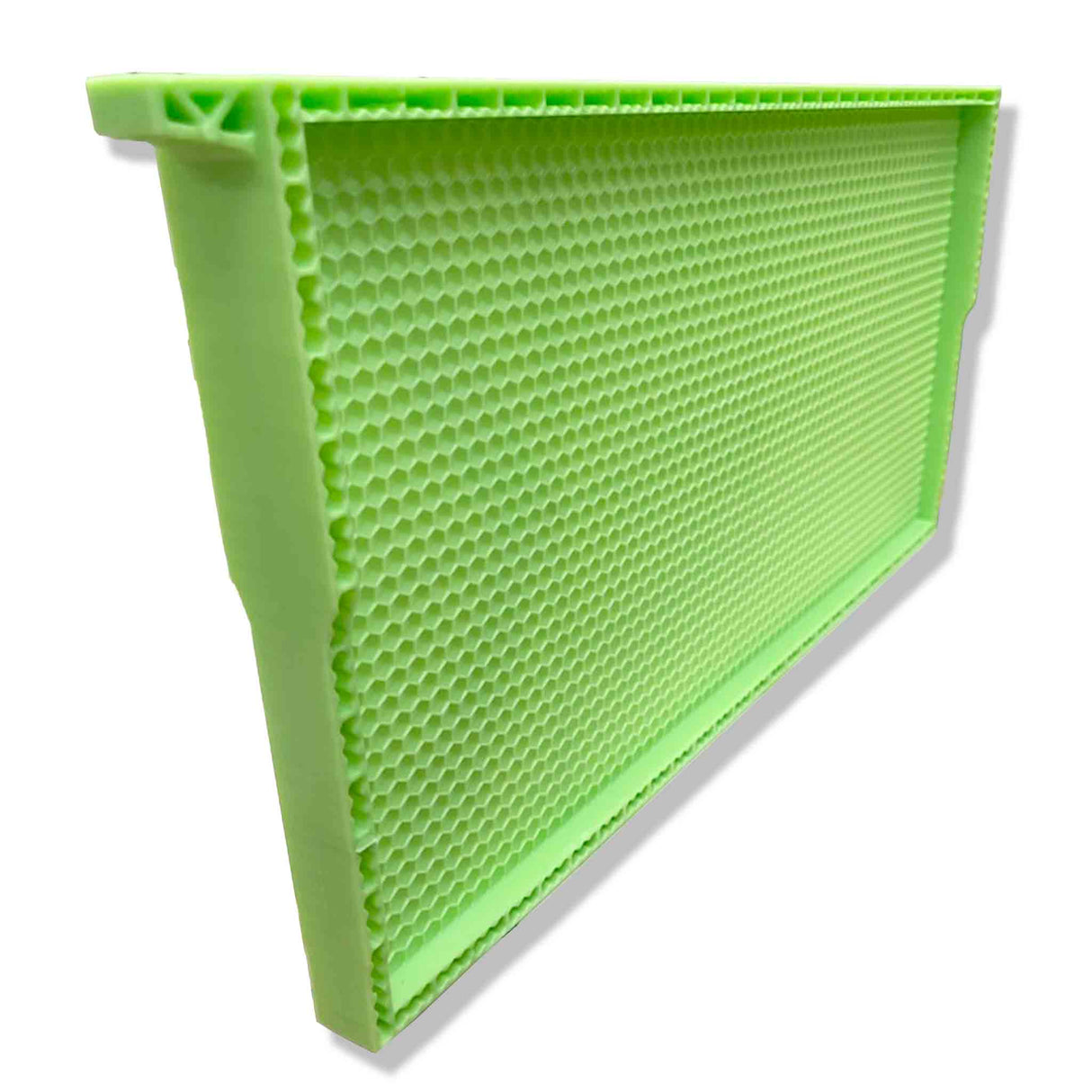 Drone Comb Bee Full-Depth Frame (Now Wax Coated)