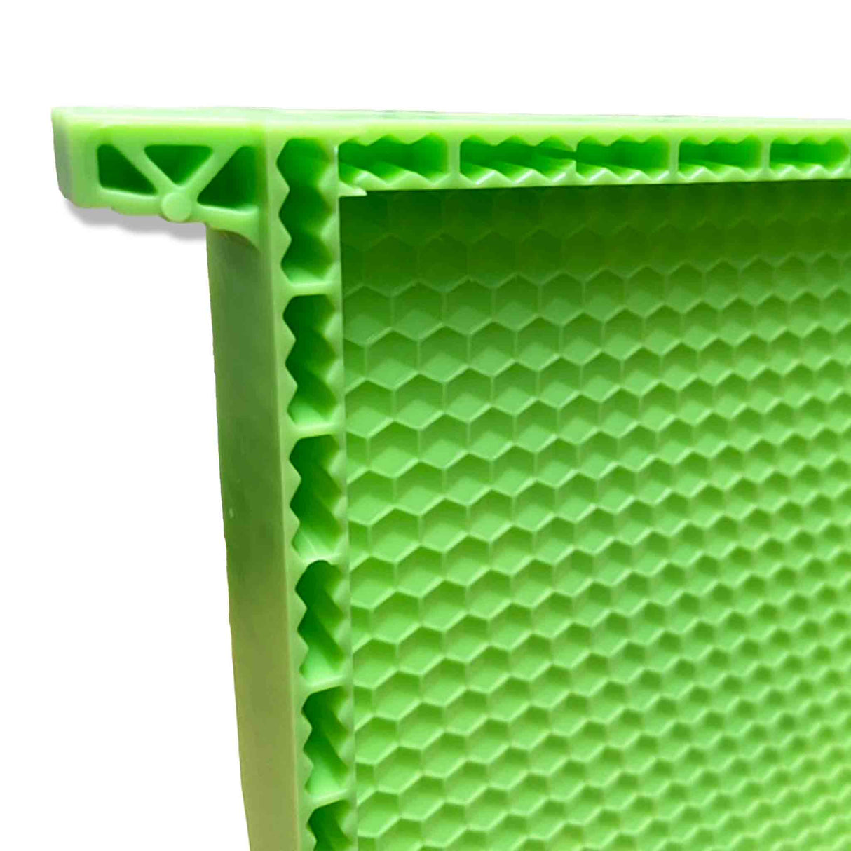 Drone Comb Bee Full-Depth Frame (Now Wax Coated)