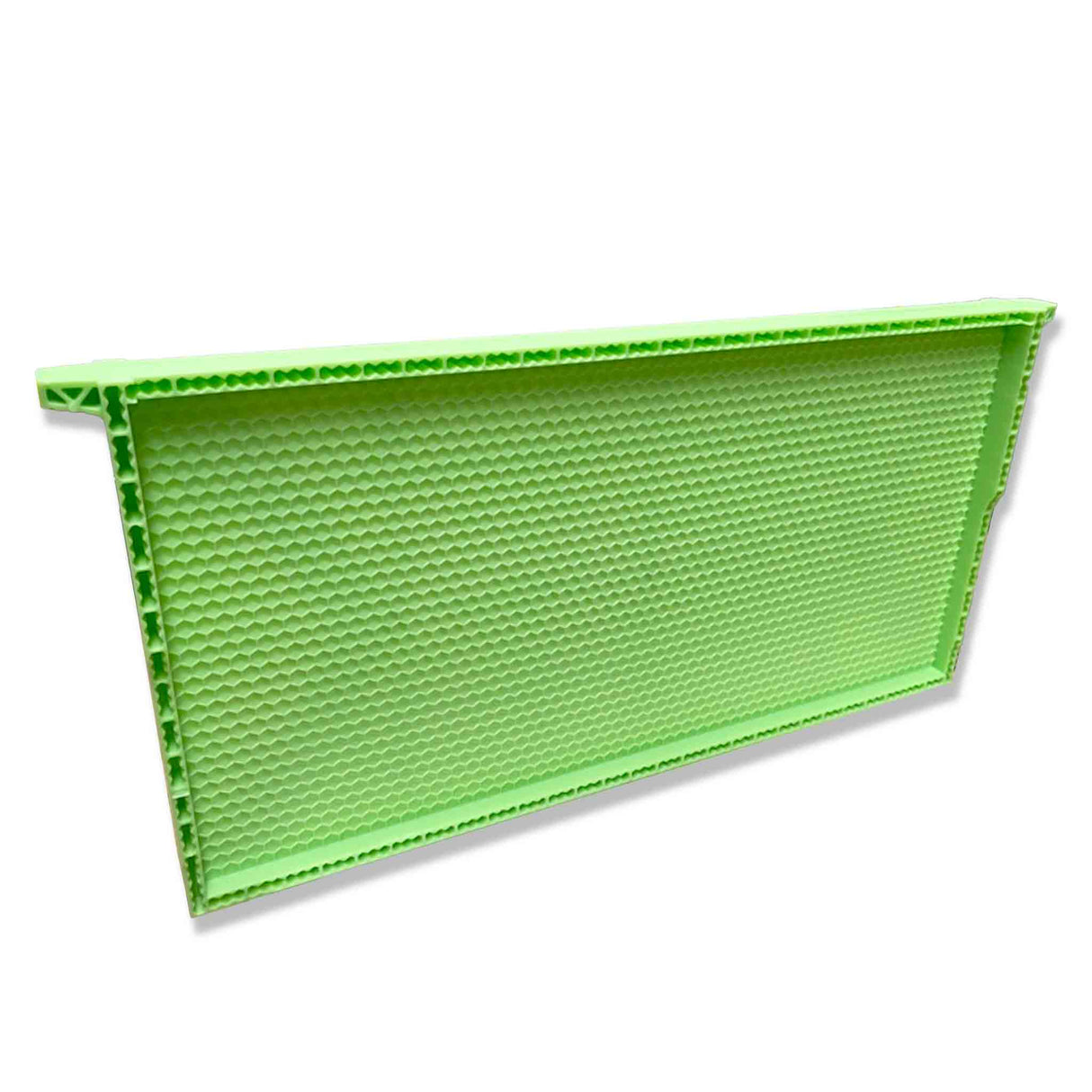 Drone Comb Bee Full-Depth Frame (Now Wax Coated)