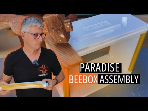 Paradise Honey 9 Frame Full Depth/Deep Hive Box Super Body