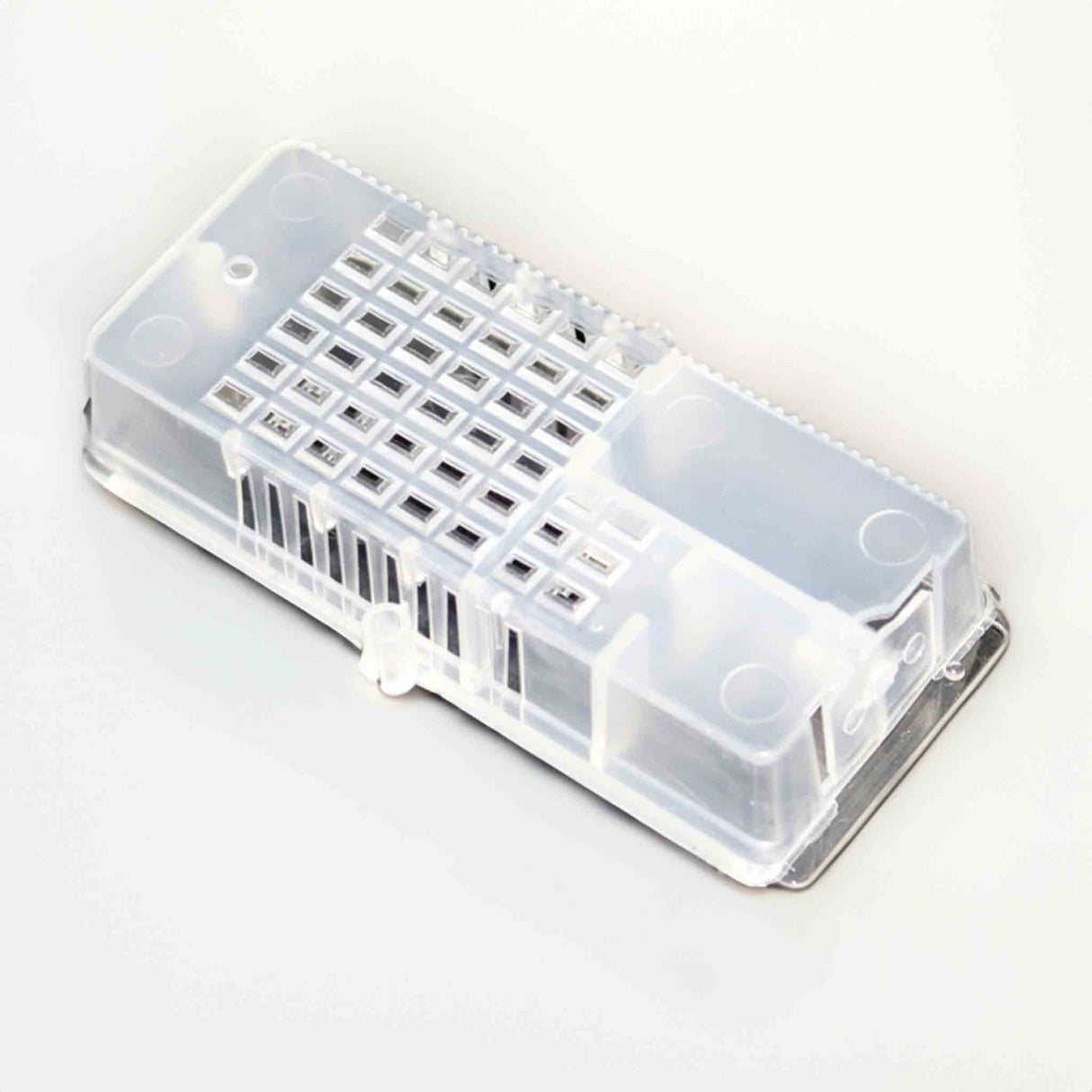 Large Queen Bee Cages with Clear Feeding Area - Queen collection by Buzzbee Beekeeping Supplies