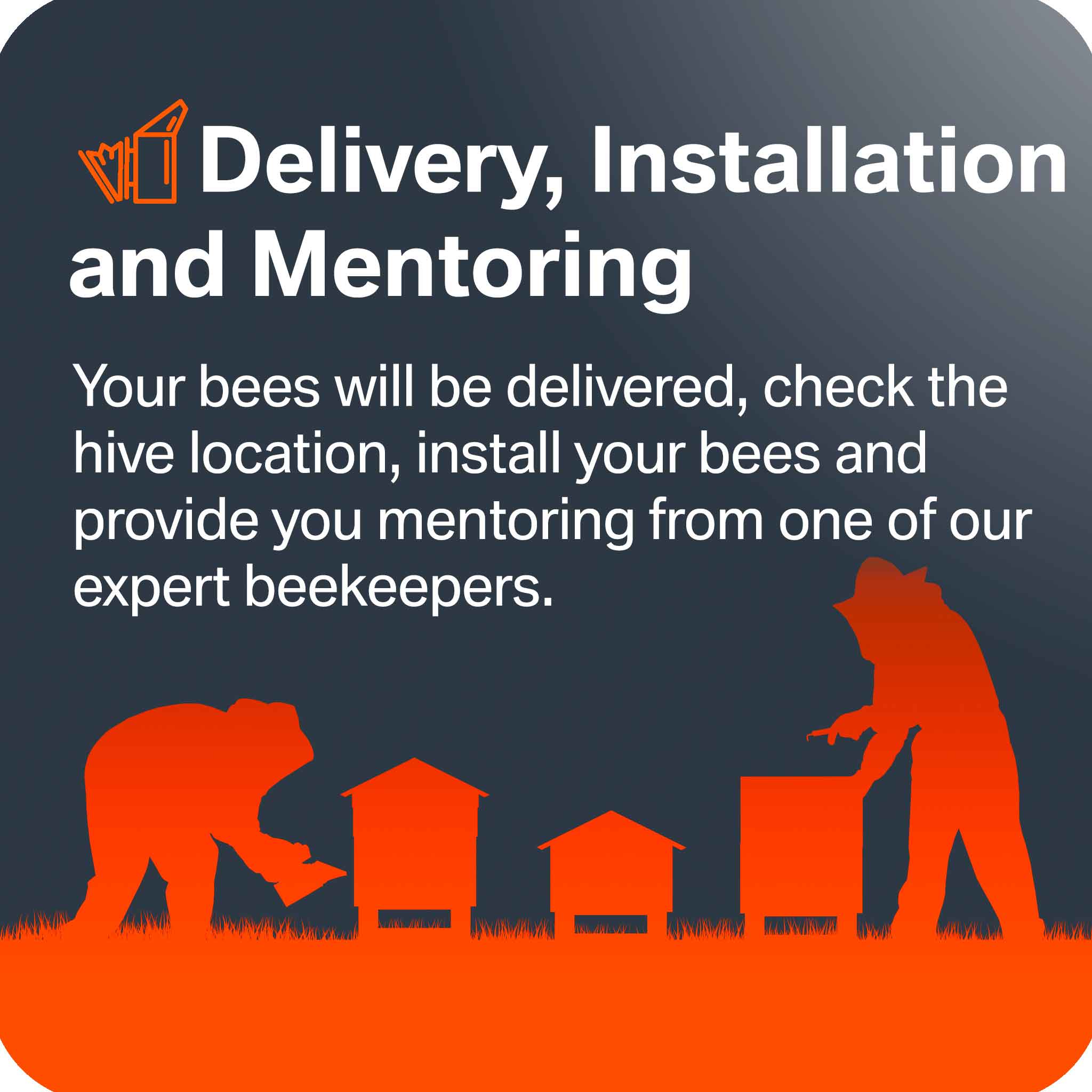 Bees for Sale - Delivery, Install and Mentoring - Bees collection by Buzzbee Beekeeping Supplies