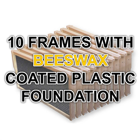Beekeeping Deep Frame Kits - Hive Parts collection by Buzzbee Beekeeping Supplies