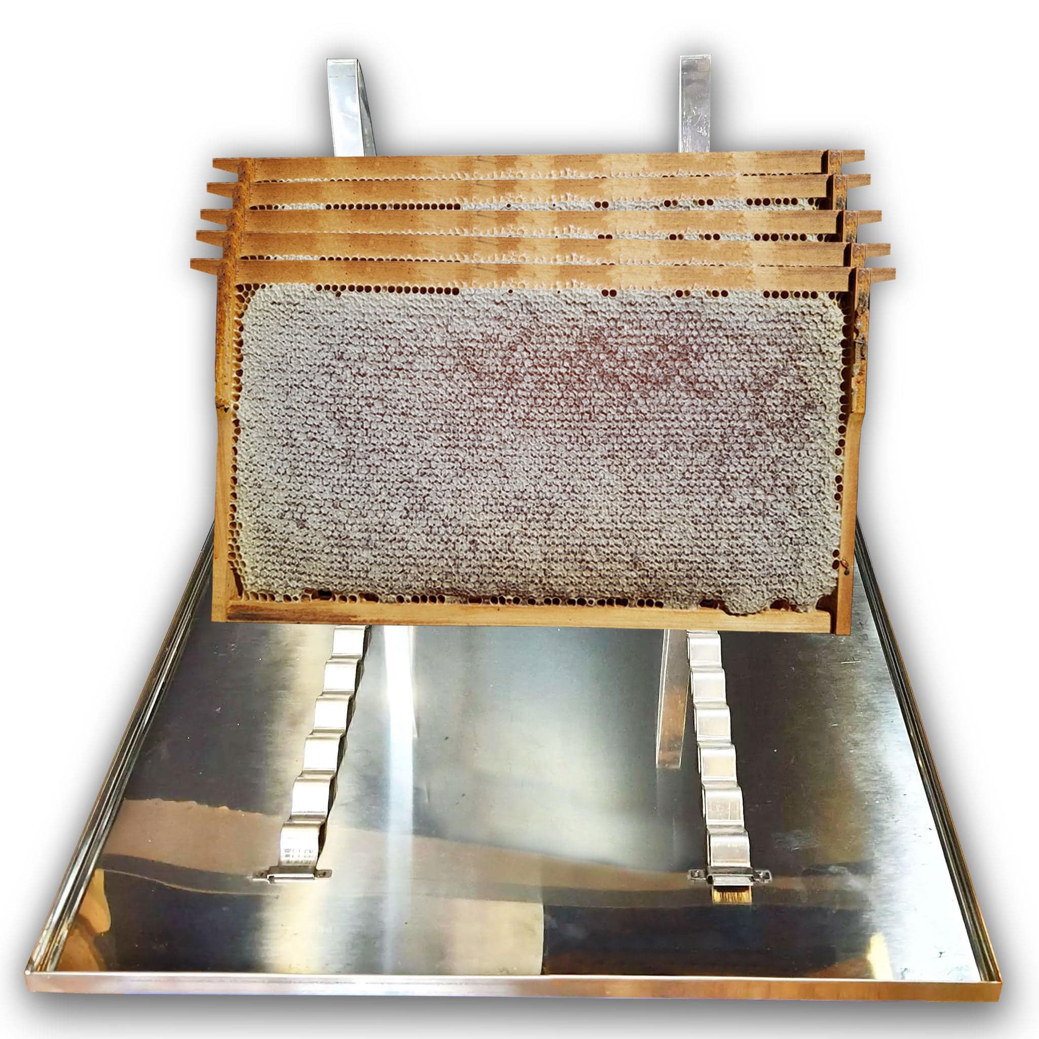 Beekeeping Uncapping and Preparation Tray - Processing collection by Buzzbee Beekeeping Supplies
