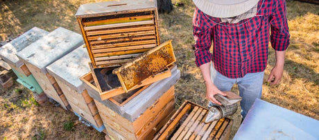 Australian Beehive Sizes and Super Box Depths