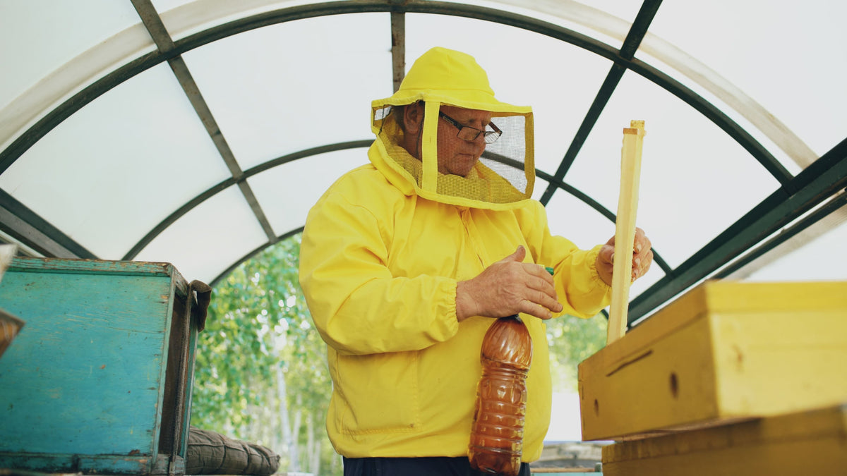 Beekeeping Suits, Jackets and Veils: What Protection Do You Really Need?