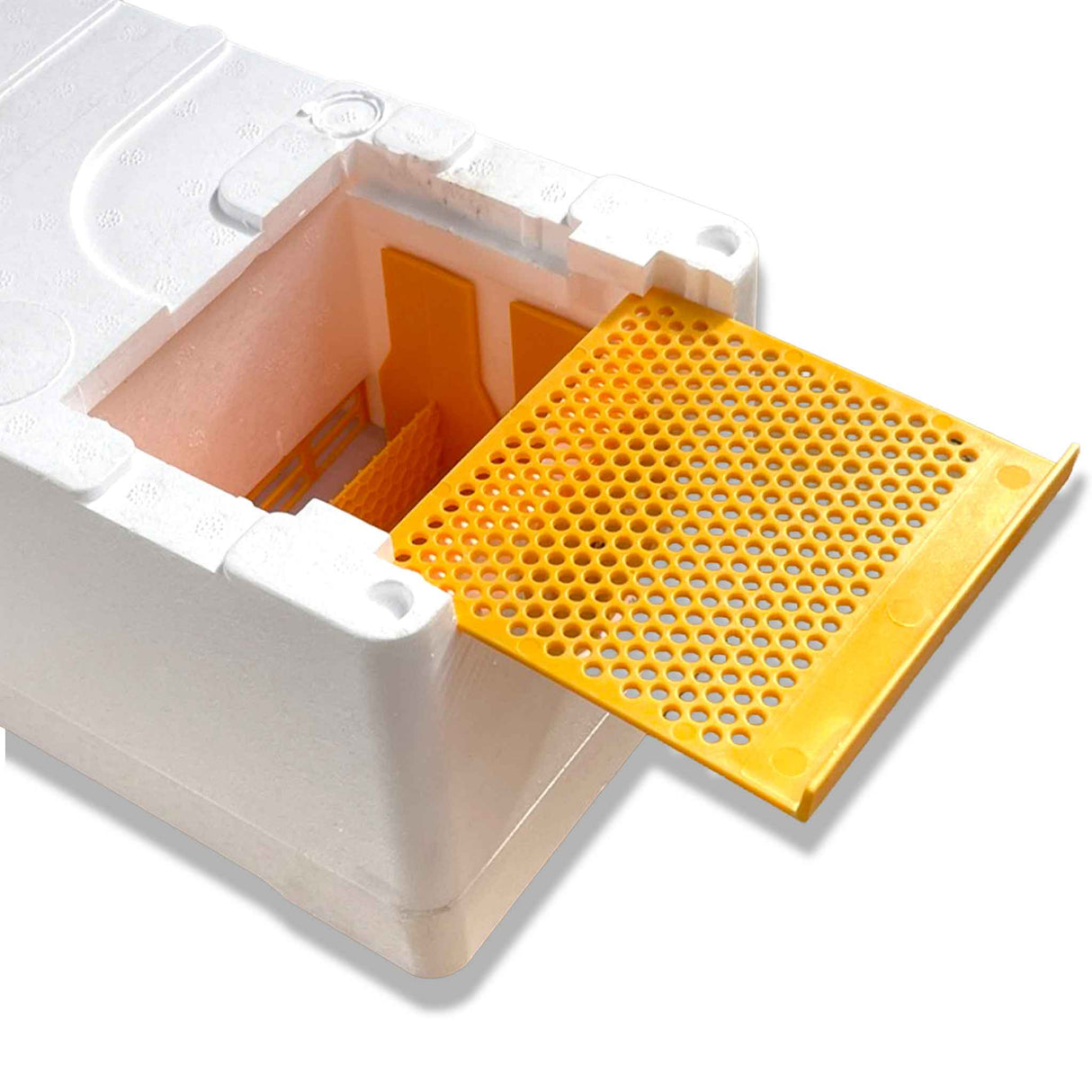 Double Entrance, Twin Zone, Queen Bee Mating NUC with Feeders