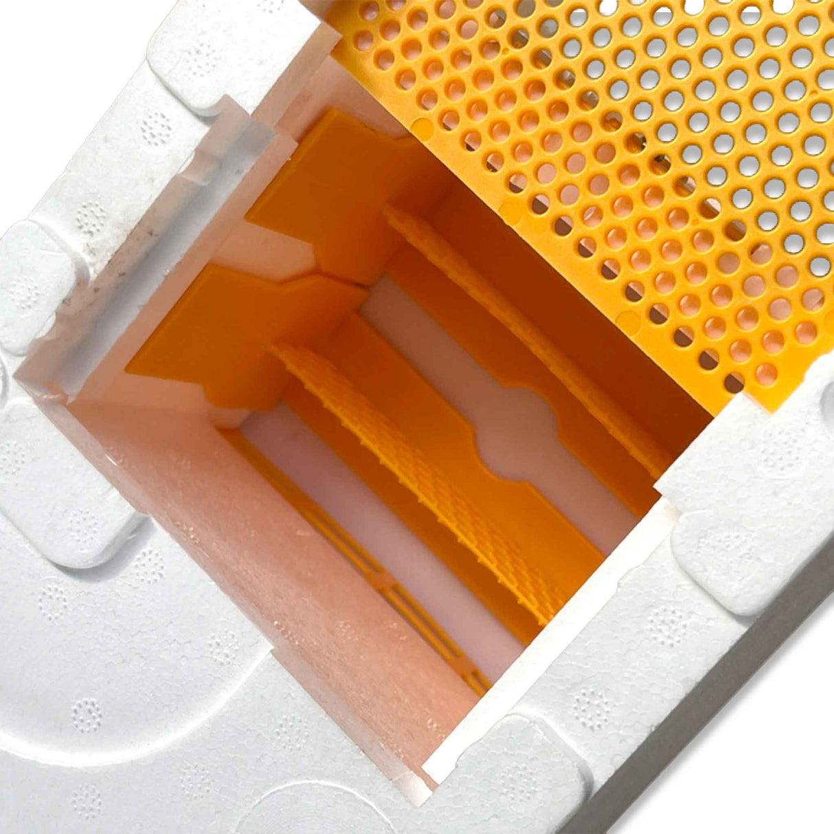 Double Entrance, Twin Zone, Queen Bee Mating NUC with Feeders