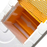 Double Entrance, Twin Zone, Queen Bee Mating NUC with Feeders