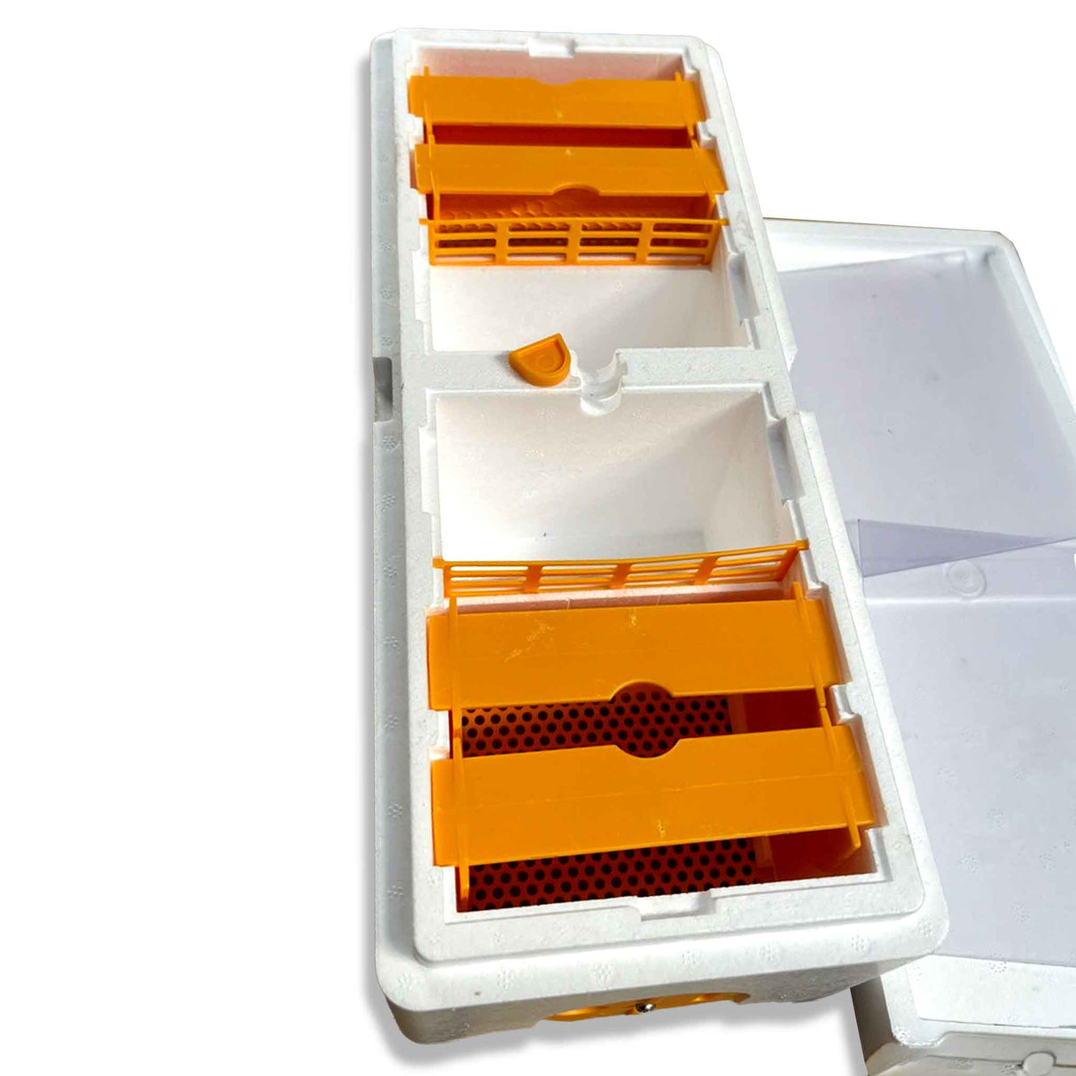 Double Entrance, Twin Zone, Queen Bee Mating NUC with Feeders