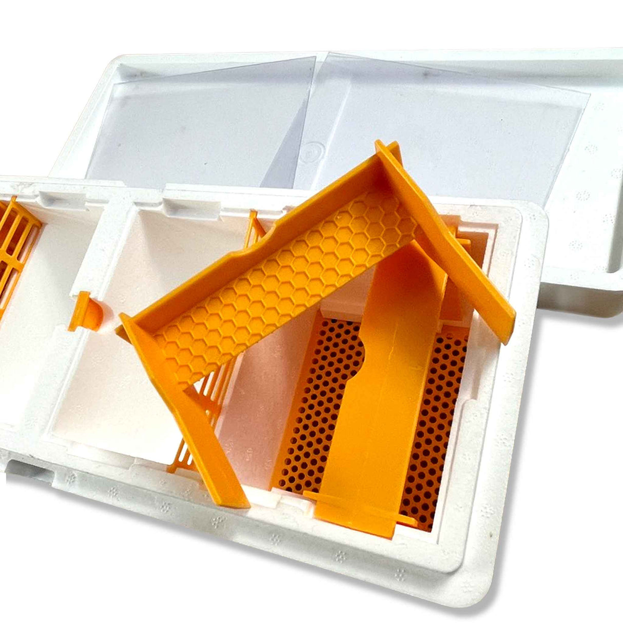 Double Entrance, Twin Zone, Queen Bee Mating NUC with Feeders