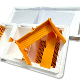 Double Entrance, Twin Zone, Queen Bee Mating NUC with Feeders