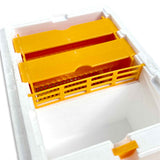 Double Entrance, Twin Zone, Queen Bee Mating NUC with Feeders