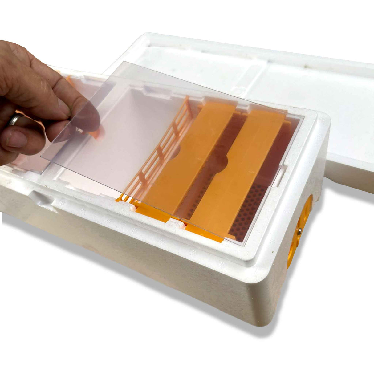 Double Entrance, Twin Zone, Queen Bee Mating NUC with Feeders