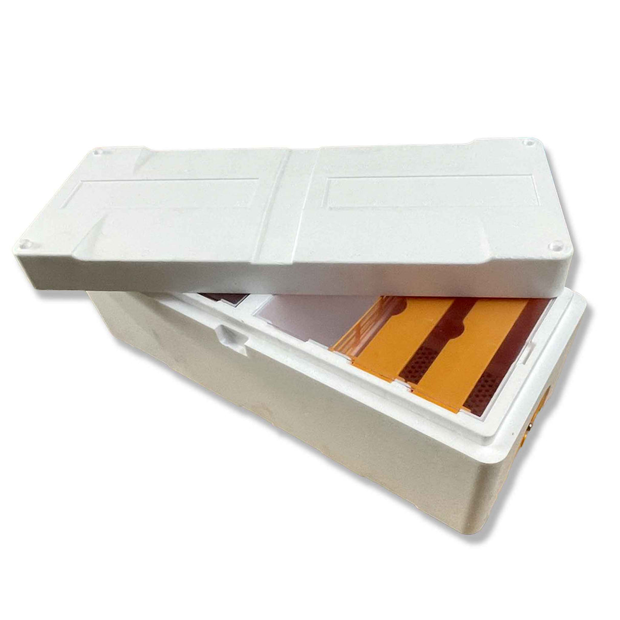 Double Entrance, Twin Zone, Queen Bee Mating NUC with Feeders