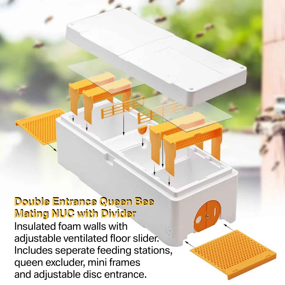 Double Entrance, Twin Zone, Queen Bee Mating NUC with Feeders