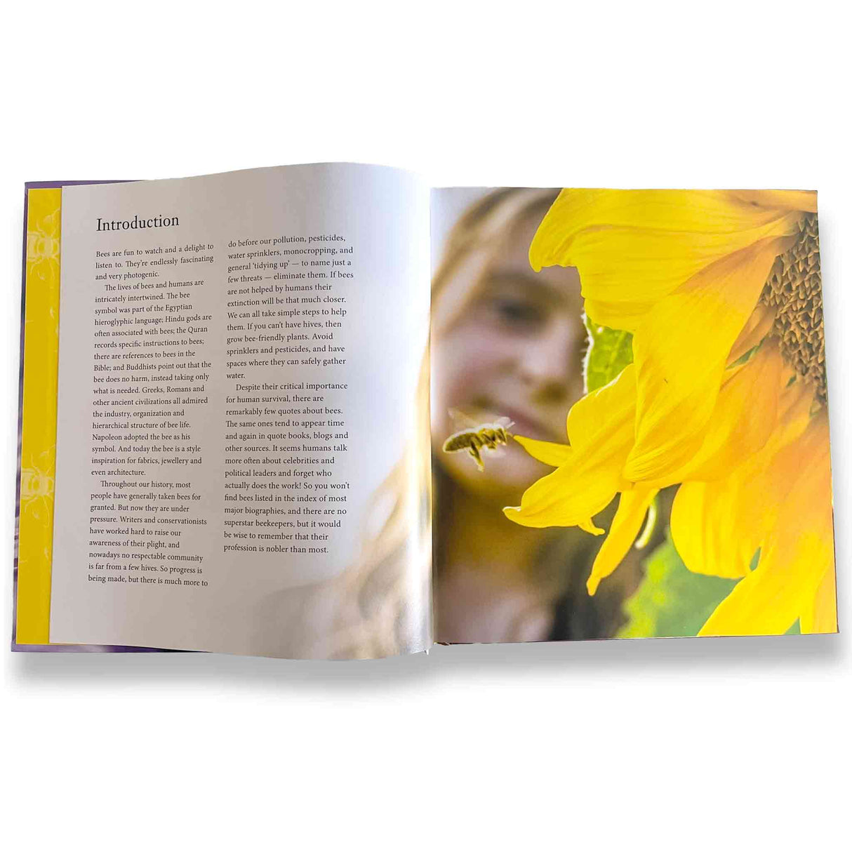 BUZZ - A book of happiness for bee lovers