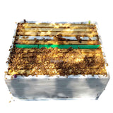 Queen Bee Isolation Frame Cage for Forcing Brood Breaks for Varroa Treatments Kit