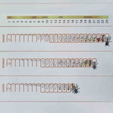Queen Bee Isolation Cage embedded within Frame Comb for Forcing Brood Breaks