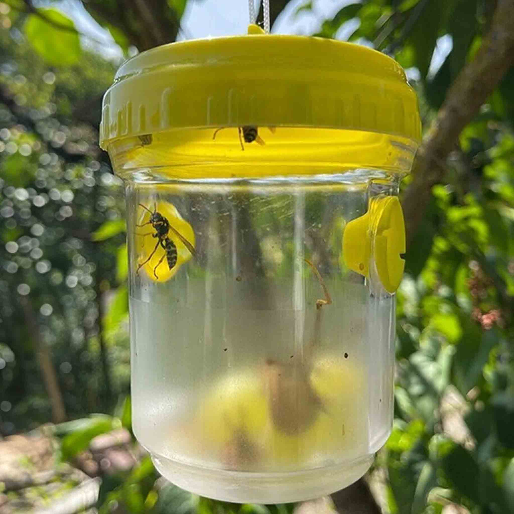 Reusable Outdoor Wasp and Fly Hanging Trap Catcher for Wasps Control