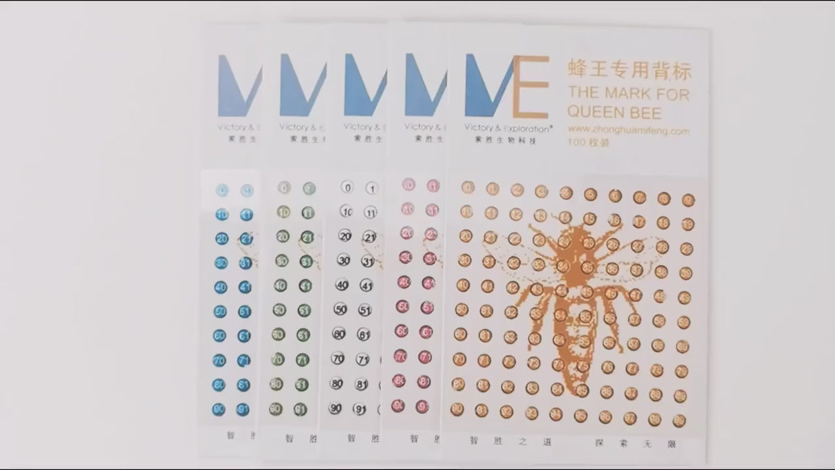 Coloured Markings Tags 100 pcs for Queen Bee Identification