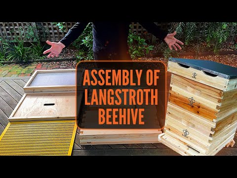 Basic PLUS 10 Frame Langstroth Beekeeping Starter Package