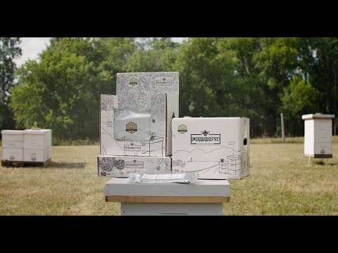 Formic Pro™ Varroa Mite Treatment – Fast, Effective Control for Australian Beekeepers