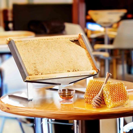 Stainless Steel Honey Comb Display Stand for Restaurants and Cafe's - Display collection by Buzzbee Beekeeping Supplies