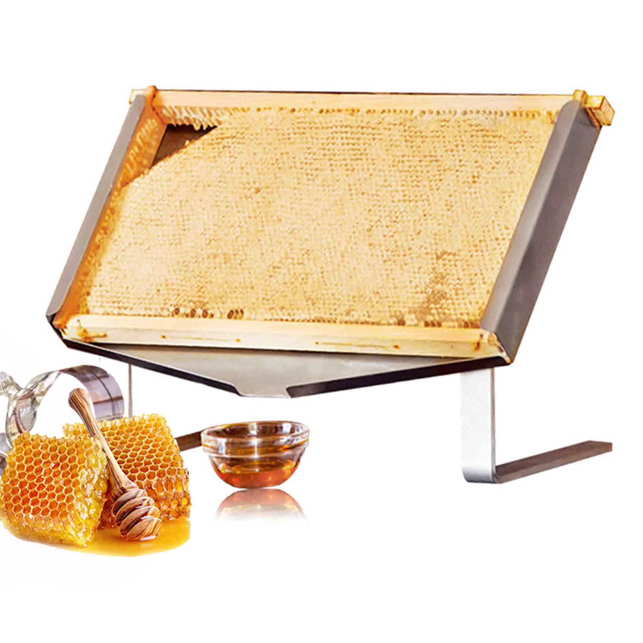 Stainless Steel Honey Comb Display Stand for Restaurants and Cafe's - Display collection by Buzzbee Beekeeping Supplies