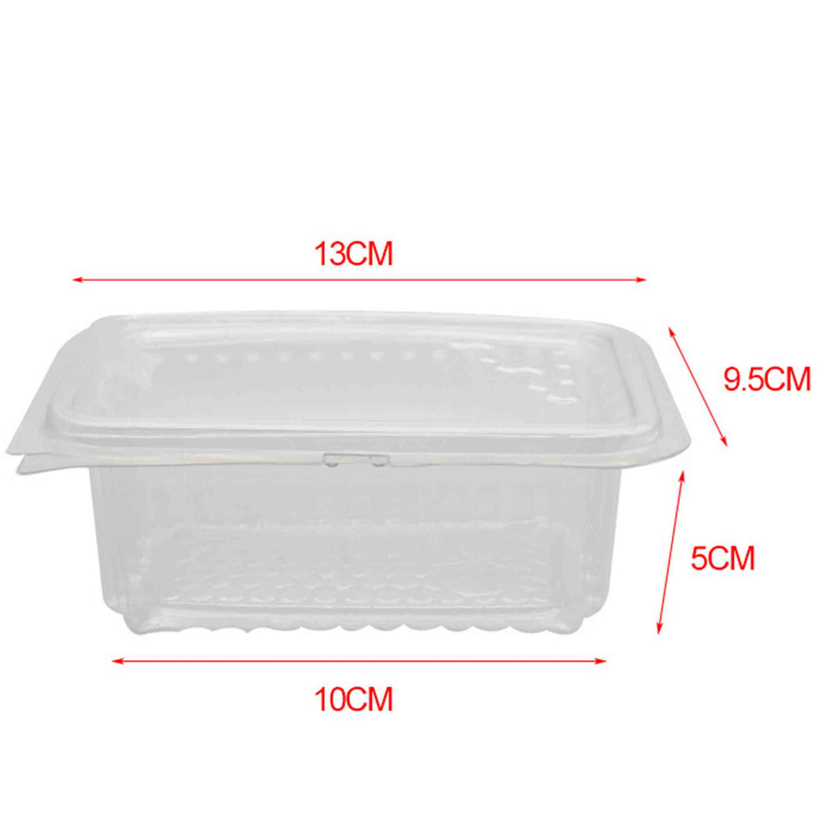 Honey Comb Packaging Container for Medium Sized Honey Comb - Processing collection by Buzzbee Beekeeping Supplies