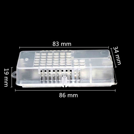 Large Queen Bee Cages with Clear Feeding Area - Queen collection by Buzzbee Beekeeping Supplies