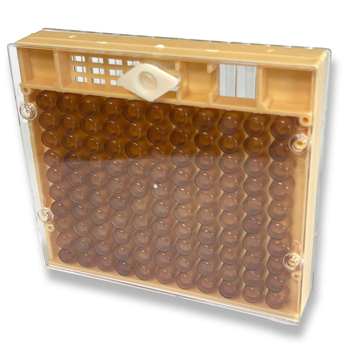 Nicot Queen Bee Confinement Laying Cage