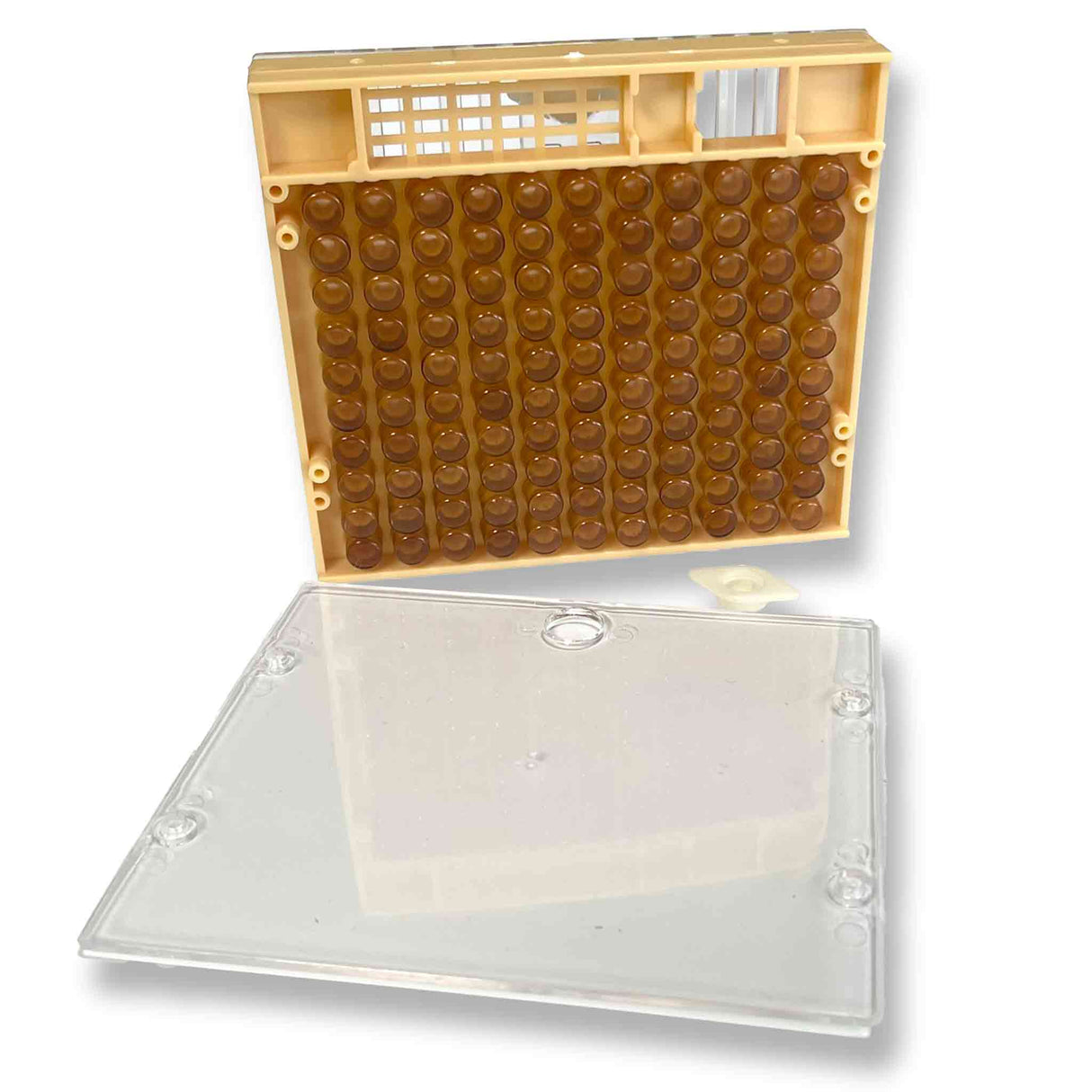 Queen Bee Nicolette Rearing Layer System Kit